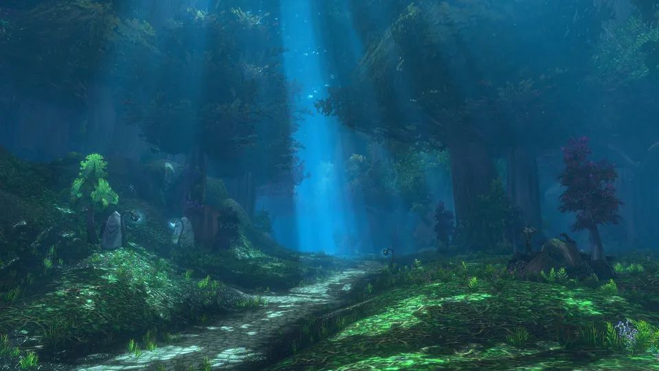 A forest at night in Forever